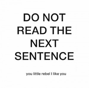 do not, haha, lol, quote, read, text, little rebel, next sentence