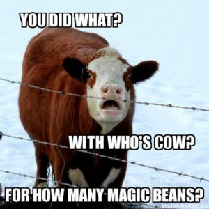 funny cow pictures (19)