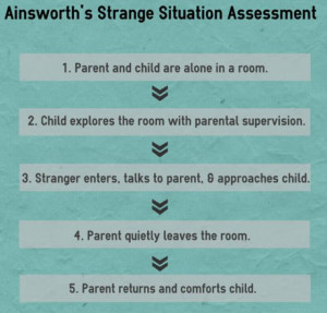 Strange Situation Assessment - Image: Kendra Cherry