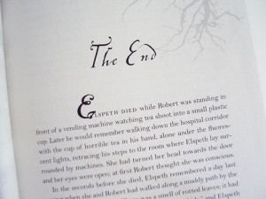 wanted to read Her Fearful Symmetry because I loved The Time ...