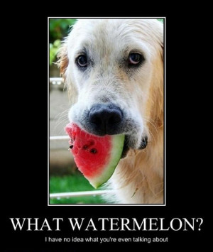 To tell the truth as for me watermelon is associated only with Summer ...