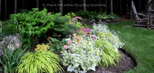 Perennials For Shade Gardens