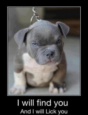 about pit bulls funny quotes about pit bulls media nowadays funny ...