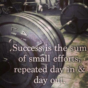 success is the sum of small efforts repeated day in amp day out