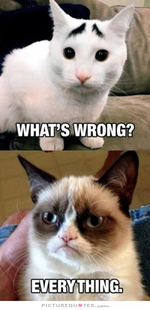 Bad Day Quotes Worry Quotes Grumpy Cat Quotes Bad Life Quotes