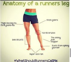 Running Jokes:Anatomy of a Runner's Leg More