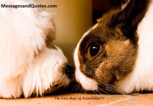 Never abandon old friends. They are hard to replace.Friendships is ...
