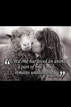 Love love animal heaven