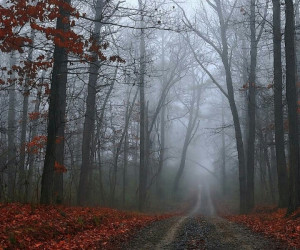 Pinned by Windy Ordenana