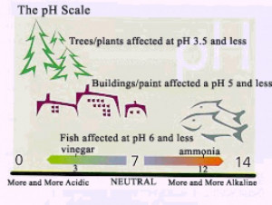 Pollution Exacerbates Water Scarcity