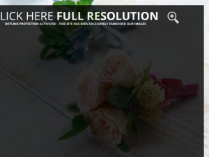 Flowers Photography and Wallpapers