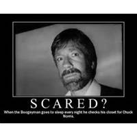 funny dog quote lovely chuck norris