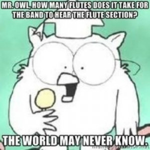 Funny Proud Band Geeks Flute