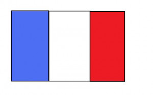 France Flag Done Through...