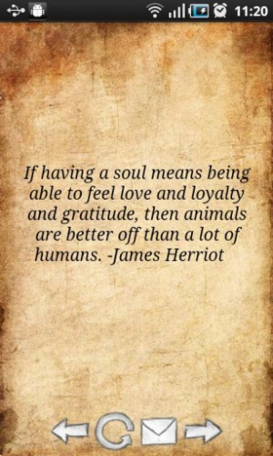 If Having A Soul Being Able To Feel Love And Loyalty And Gratitude ...