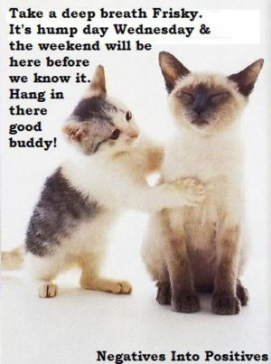 Hang in there - it's HUMP DAY YAY!