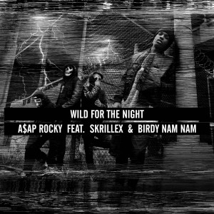 ... Skrillex & Birdy Nam Nam – Wild For The Night » Wild For The Night