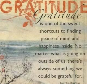Gratitude #happinessquote