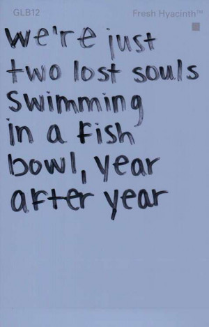 pink floyd lyrics quotes