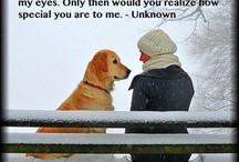 Quotes / by Life Marley And Me