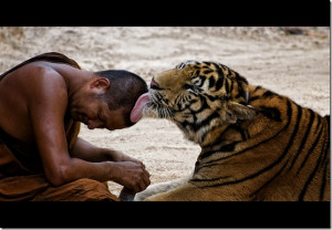 Trust in any relationship is built on many signals, the most important ...