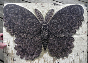 Moth: A New Woodcut Print from Tugboat Printshop by Christopher Jobson ...