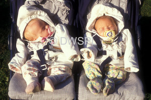 pram quotes In Depth