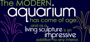 Quotes Of Aquarium Fish