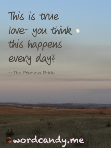 Princess Bride Love Quotes Quote Image