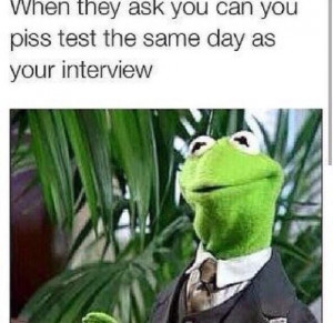 Re: Funny Kermit The Frog Memes by lomaxx : 7:50am On Jul 06 , 2014