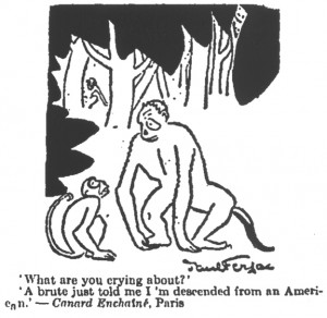 Darwin And Evolution Cartoons