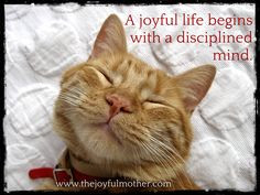 Inspirational Quote | A joyful life begins with a disciplined mind ...