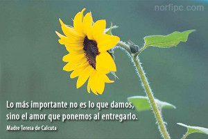... es lo que damos, sino el amor que ponemos al entregarlo. Madre Teresa
