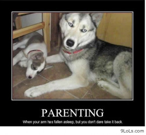 funny-pictures-funny-quotes-sayings-funny-kids-funny-animals-humor ...