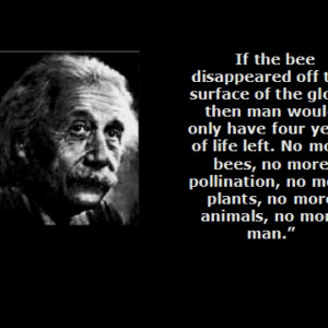Life without bees is no life at all: Albert Eistein, Quote, Einstein ...