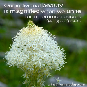 ... Quotes / Our individual beauty is magnified when we unite for a common