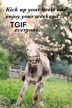 Thank God Its Friday Quotes Funny It's friday #tgif #thankgoditsfriday ...