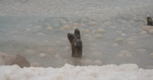 ... Michigan photographer shows giant ice balls in Lake Michigan. YouTube