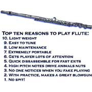 top 10 reasons to play flute
