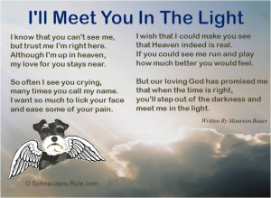 Pet Loss Poem I'll Meet You In The Light by Maureen Bauer