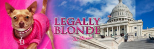 NCT- Legally Blonde