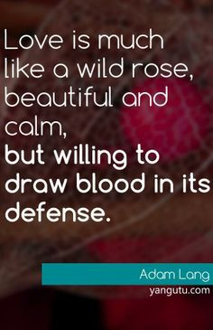Love is much like a wild rose, beautiful and calm, but willing to draw ...