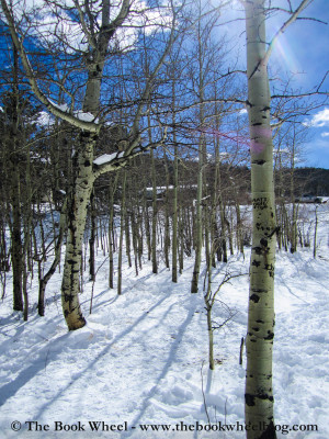 Snow Falling On Cedars Quotes