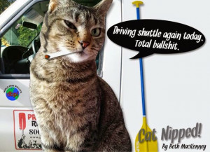 CAT NIPPED by Beth MacKenney