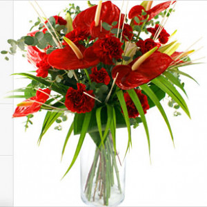 Delhiflowersworld.com is an online flowers bouquet delivery Shop. We ...