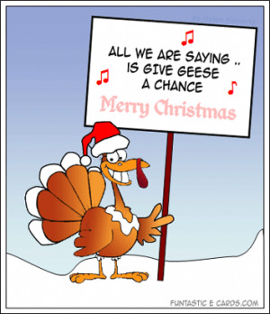 Give geese a chance cartoon with funny protesting christmas turkey