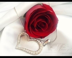 rose-and-heart-roses-romantik-love-quotes-jewel-PMac20-flowers-flowers ...