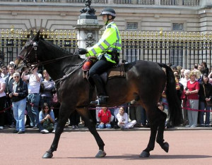Image of Police ranks of the United Kingdom