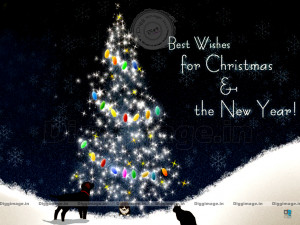 Best Wishes for Christmas & The New Year..! 2012 greetings with a nice ...