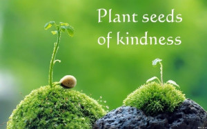 plant-seeds-of-kindness.jpg